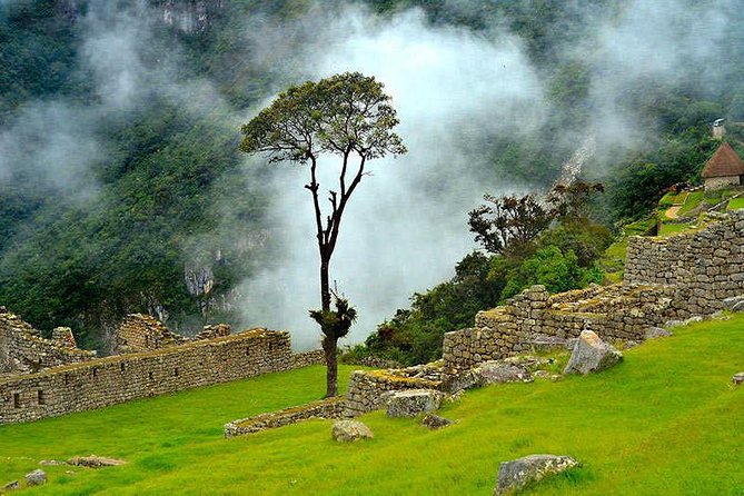 07 Day: Inca Jungle Adventure with Mountain Bike, Rafting, Zipline & Trek - Day 4: Old Inca routes, tropical fruit, and the zipline question