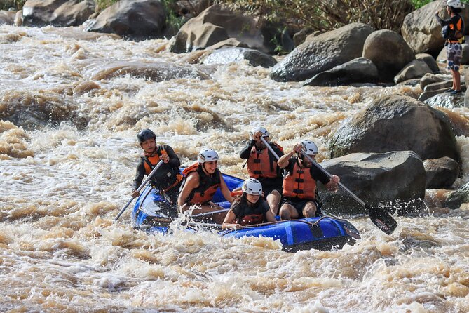 10km Rafting with 8Adventures from Chiang Mai Include Pickup & Lunch - Is $116.03 a fair price?