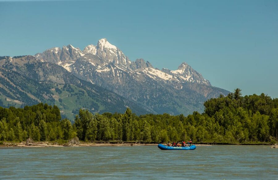 13-Mile Snake River Scenic Rafting Experience from Jackson - What the guide adds to the experience