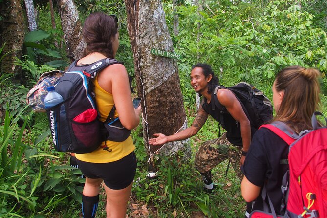 2-Day Jungle Trekking & Rafting in North Sumatra - Wildlife watching without a guarantee