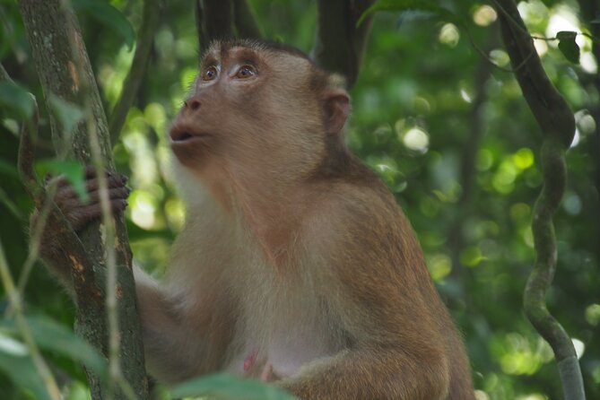 2-Day Jungle Trekking & Rafting in North Sumatra - What the $157.05 price really covers