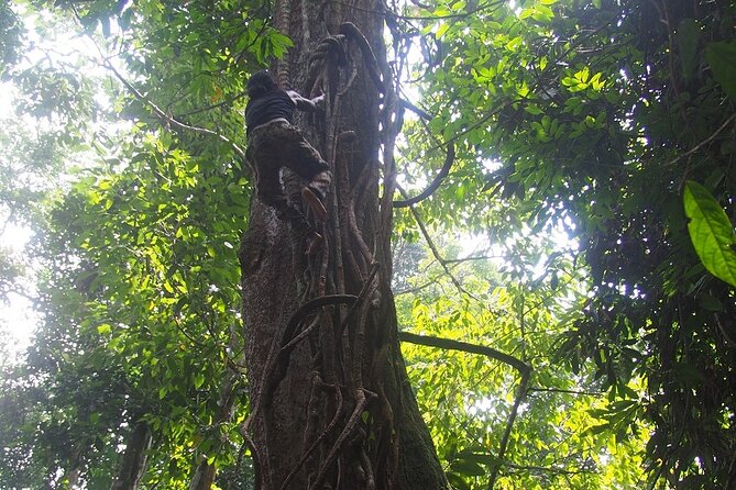 2-Day Jungle Trekking & Rafting in North Sumatra - Who will enjoy this trip most