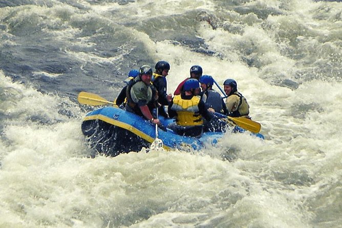 24 km White water rafting expedition in Rishikesh - Key points before you book