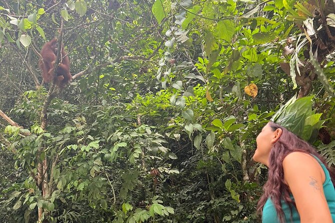 3 Days Orangutan Sumatra Jungle Trekking with Rafting - Starting at Bukit Lawang at 8:30 am