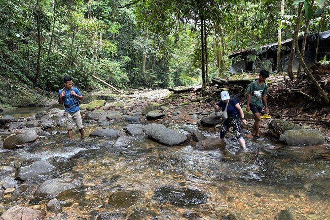 3 Days Orangutan Sumatra Jungle Trekking with Rafting - Food, guides, and the value of a private group