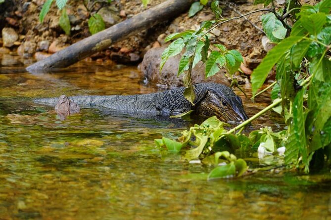 3 Days Orangutan Sumatra Jungle Trekking with Rafting - The Bohorok River return