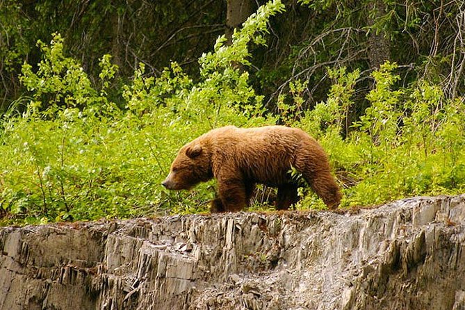3-hour Turnagain Pass Rafting Float Trip from Hope Alaska - A gentle way to see Turnagain Pass