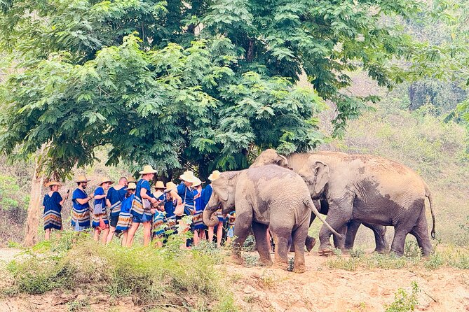 4 in 1 Elephants Long Neck Rafting and Sticky Waterfall Tour - How to prepare for the 8:30 am start