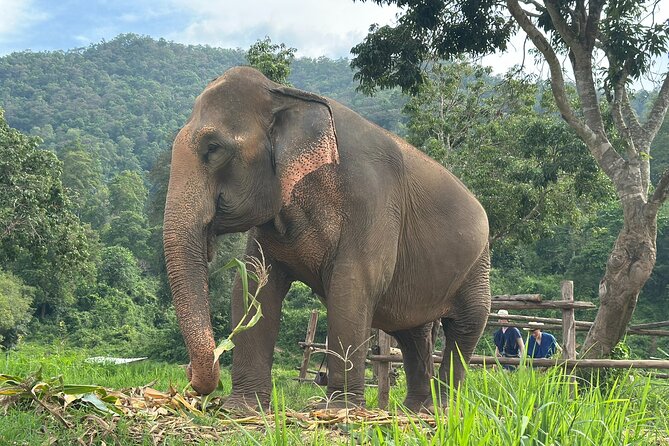 4 in 1 Elephants Long Neck Rafting and Sticky Waterfall Tour - Climbing Bua Thong Sticky Waterfall