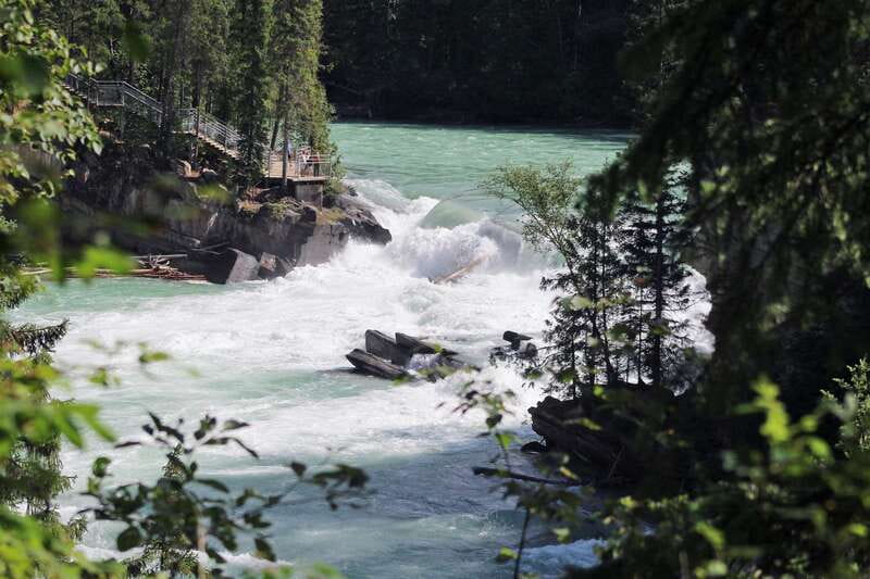 5-Hour Fraser River Rafting in Jasper National Park - A quieter float with salmon and wildlife