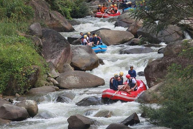 5 km White Water Rafting + ATV 1 Hour Tour From Phuket - Suwan Khuha Cave Temple and the monkey stop