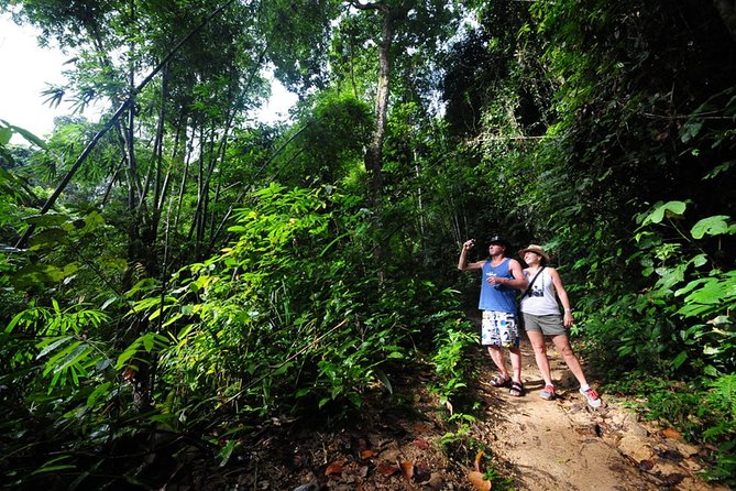 5km Rafting, ATV & Flying Fox Adventure Trip - What the ATV section is really like