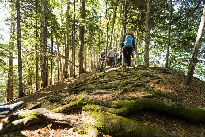 6 Day Tour - Trekking, Rafting, Jeep safari and Canyoning - Day four: Hiking across the border to Trnovačko Lake