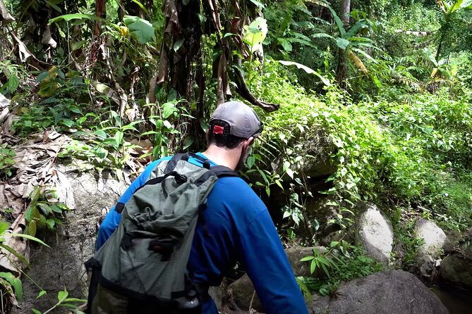 8KM White Water Rafting and 3HRS Jungle Trekking Adventure - Leaving Chiang Mai for the Mae Taeng River