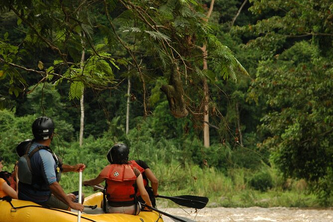 Adrenaline Pack (Zipline + Rafting) - What the canopy portion feels like