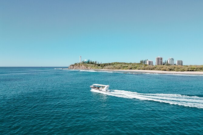 Adventure Rafting - Mooloolaba Turtle Tour - A fast start from The Wharf Mooloolaba