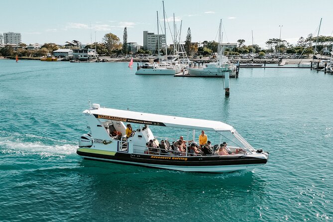 Adventure Rafting - Mooloolaba Turtle Tour - What the 350-horsepower raft feels like