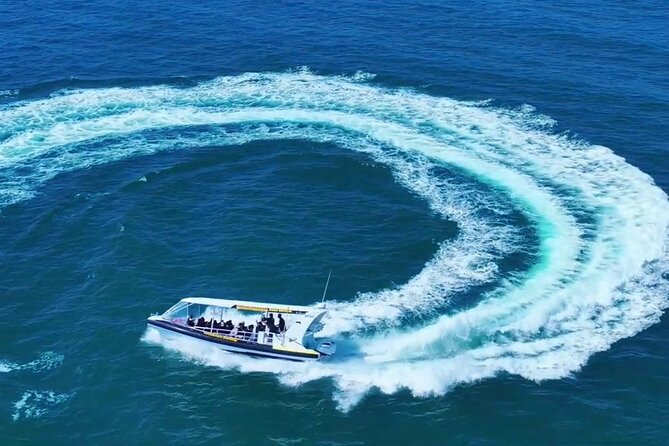 Adventure Rafting - Mooloolaba Turtle Tour - Mudjimba Island is the wildlife question mark
