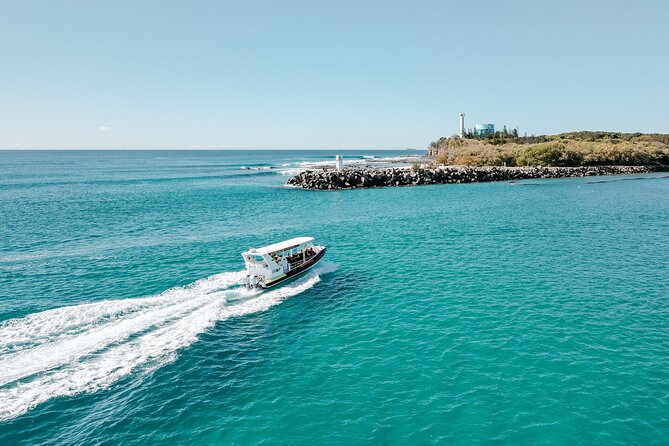Adventure Rafting - Mooloolaba Turtle Tour - The one-hour format gives you a useful half-day plan