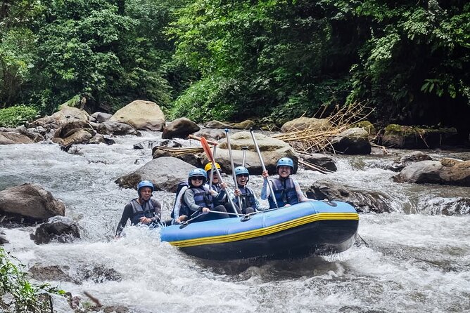 All inclusive : Ayung River White Water Rafting Lunch and Private Transport - What the Ayung River Run Feels Like