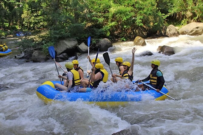 All inclusive : Ayung River White Water Rafting Lunch and Private Transport - Should You Book the Ayung River Package?