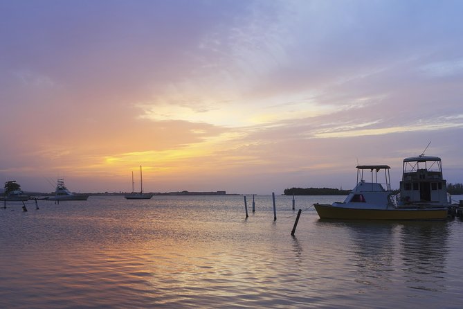 An Evening on the Lagoon: Martha Rafting, Luminous Lagoon and Falmouth Highlight - From Montego Bay to the Martha Brae River