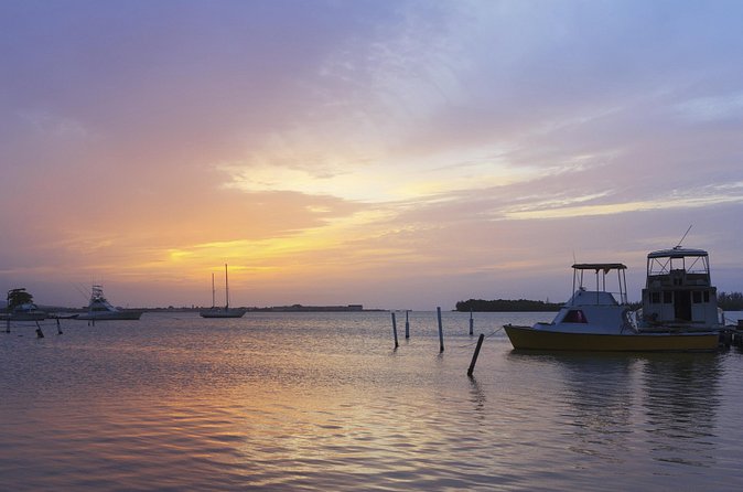 An Evening on the Lagoon: Martha Rafting, Luminous Lagoon and Falmouth Highlight - Timing, group size, and the voucher issue