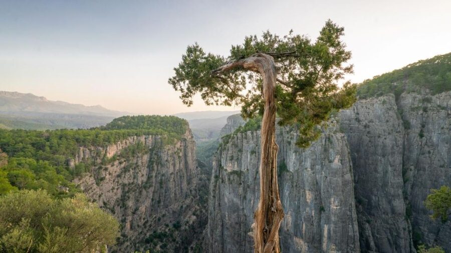 Antalya: Tazı Canyon - Rafting Combo Tour w/Pick Up - The cabrio bus ride makes the transfer part of the fun