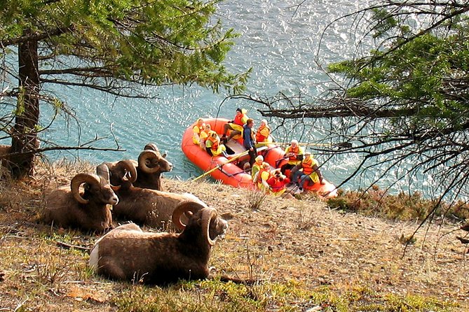 Athabasca River Easy Scenic Raft Trip - Setting out from 607 Connaught Drive