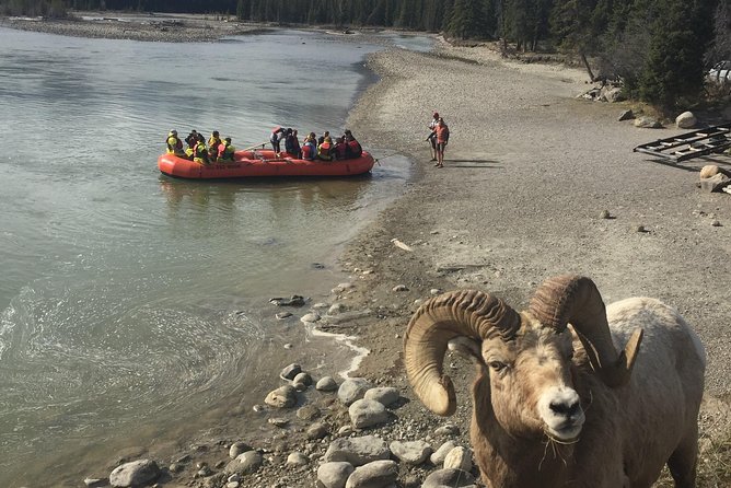 Athabasca River Easy Scenic Raft Trip - How wet will you get?