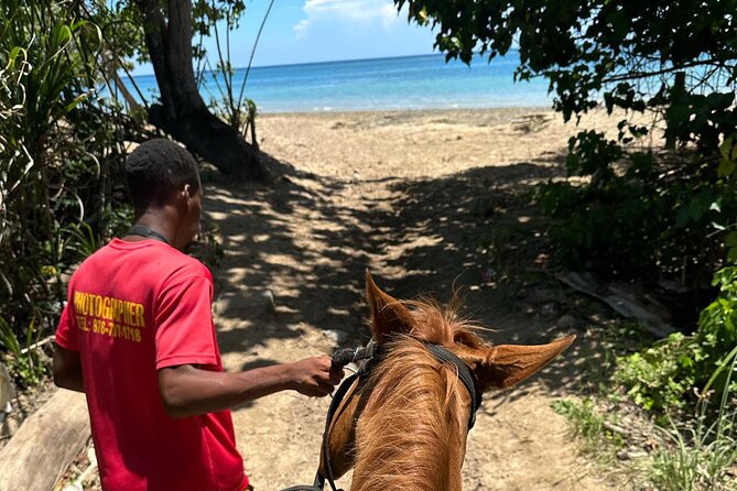 ATV, Bamboo Rafting, Horseback Ride From Montego Bay- Private - Practical details that affect your day