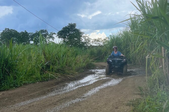 ATV, Zipline, Horseback, Bamboo Rafting and Rick’s Cafe - Ziplining adds height and a different kind of excitement