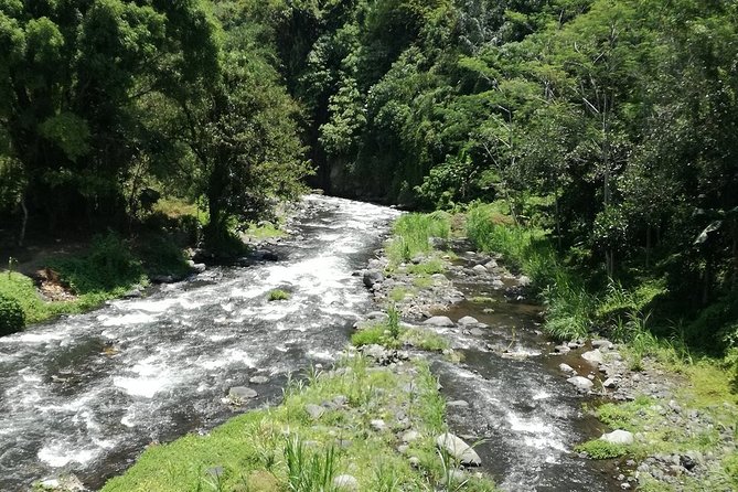 Ayung Rafting Ubud (Include Lunch & Return Transportation) - My call: book it for the river setting, not extreme rapids