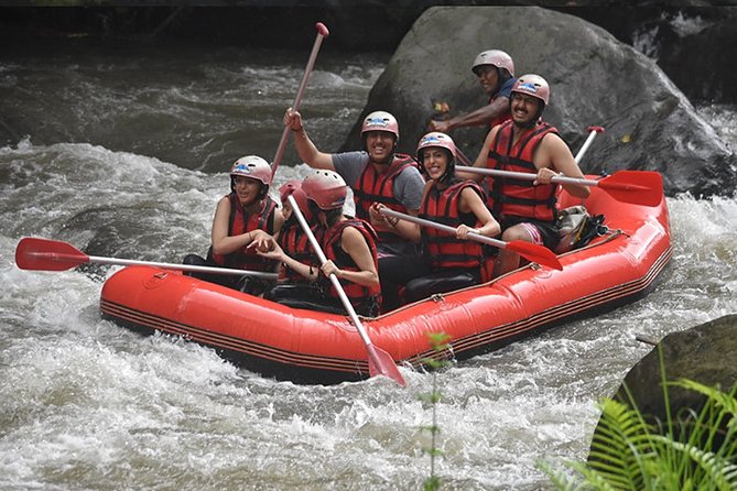 Ayung Rafting Ubud (Include Lunch & Return Transportation) - Rafting 12 kilometers of the Ayung River