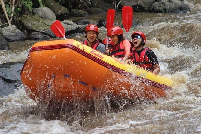 Ayung River Half-Day White Water Rafting Bali in Ubud - Morning pickup and the drive from Ubud