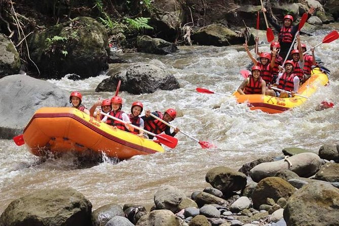 Ayung River Half-Day White Water Rafting Bali in Ubud - What the 1.5 to 2 hour rafting section is like