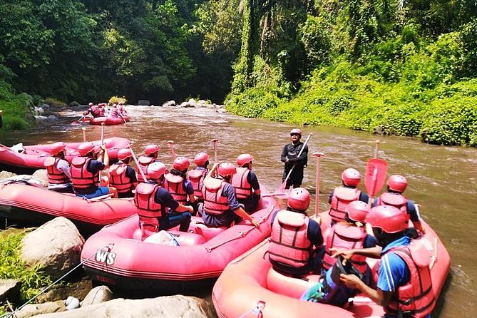 Ayung River Half-Day White Water Rafting Bali in Ubud - How good is the value at $28?