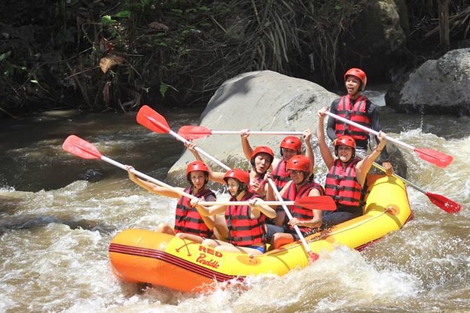Ayung River Half-Day White Water Rafting Bali in Ubud - The strongest parts of the experience