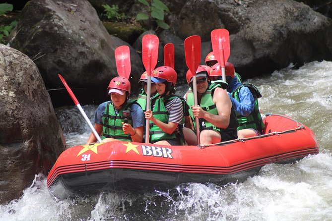 Ayung River Rafting - Guides, safety, and the value of local explanation