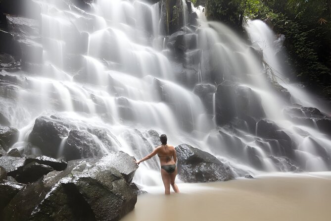Ayung River Rafting and Bali Best Waterfalls Tour - Who should book this Ayung River and waterfall tour