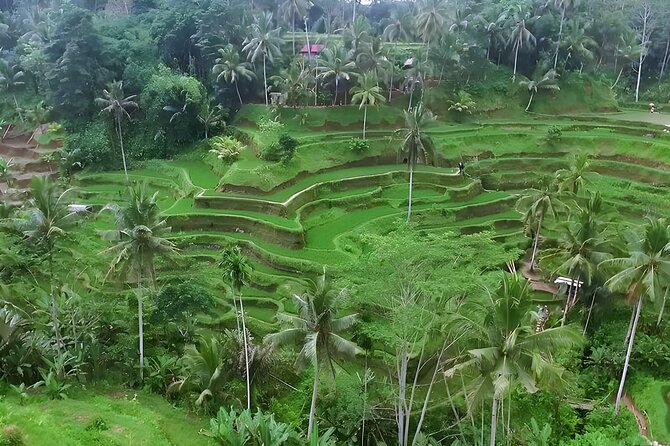 Ayung River Rafting and Ubud Waterfall Tour - What the guide service adds