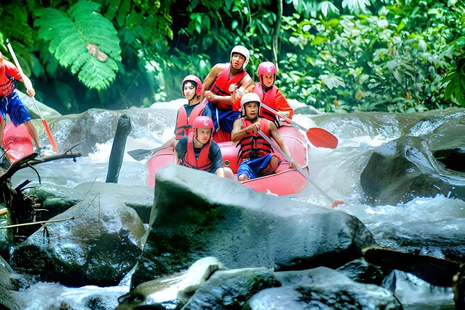 Ayung River Rafting - Ubud Best White Water Rafting - What the Ayung River trip is really like