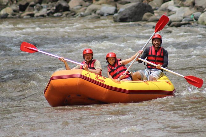 Ayung River - White Water Rafting Bali - What the $30 price really covers
