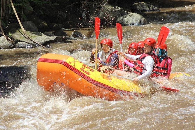 Ayung River - White Water Rafting Bali - The guide, the raft, and the group size