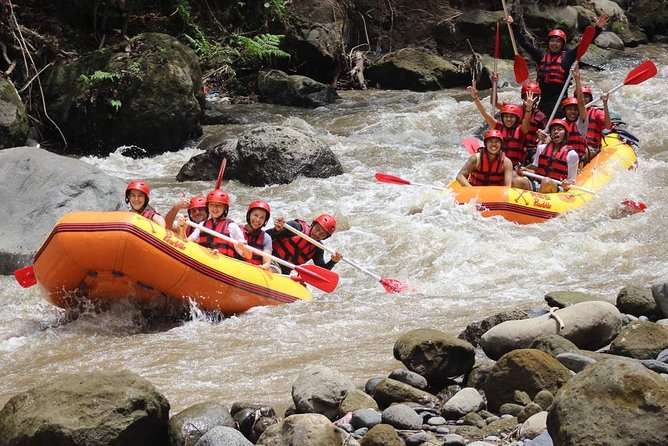 Ayung River - White Water Rafting Bali - Two hours among rapids, cliffs, and waterfalls