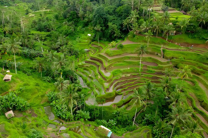 Ayung White Water Rafting and Ubud Art Village Tour - Lunch after the river, with the useful details covered