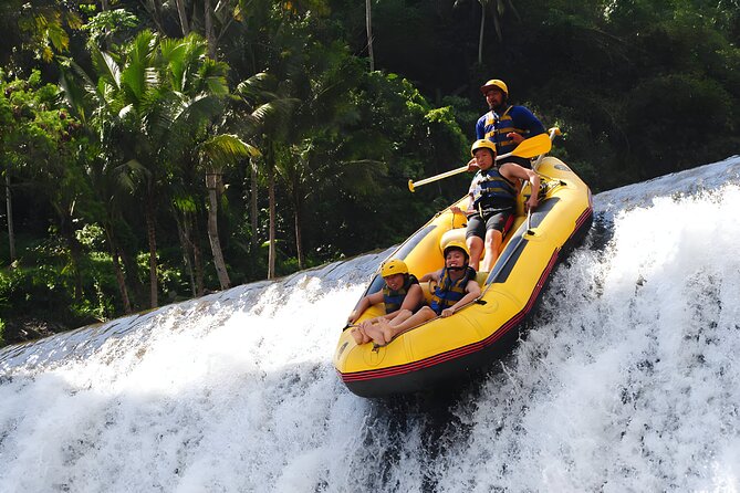 Bali Activity: Telaga Waja White Water River Rafting - Telaga Waja rafting at a glance