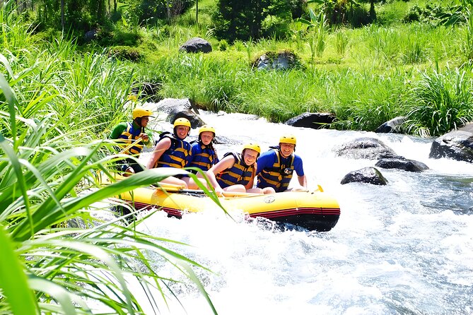 Bali Activity: Telaga Waja White Water River Rafting - Pickup from Ubud and southern Bali