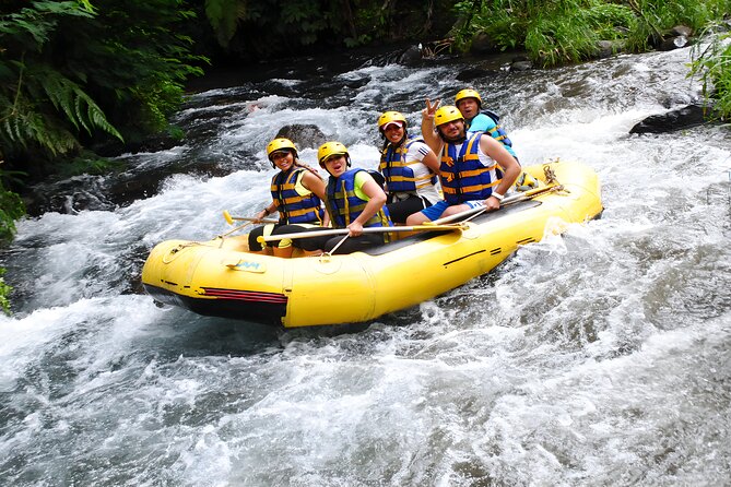 Bali Activity: Telaga Waja White Water River Rafting - Who should book this rafting trip?