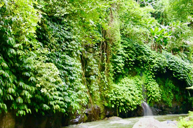 Bali ATV Quad Bike & Ayung River Rafting Combo with Lunch - A full-track ATV ride for confident riders